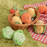 Vegetable Ball Toy (2sets)