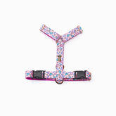 NORADOG Haru H Harness