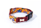 NORADOG Little PoPo Collar