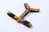 NORADOG Little PoPo H Harness