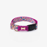 NORADOG Haru Collar
