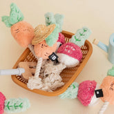 Root Vegetable Toys