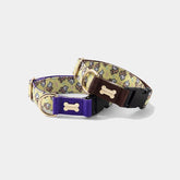 NORADOG SomSom Collar