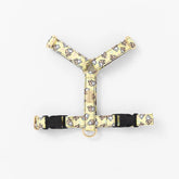 NORADOG SomSom H Harness 2color