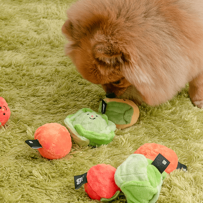 [Biteme] Vegetable Ball Toy (2sets) image 1