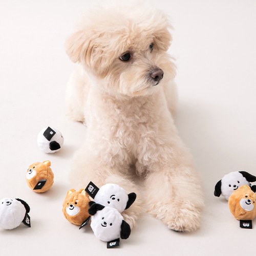 [Biteme] Dog Balls Toy - 2PCS Set | Plush Squeaky Dog Balls image 1