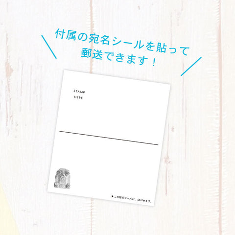 Higashi Chinatsu Clear Postcard – Konpeito & Beckoning Rabbit