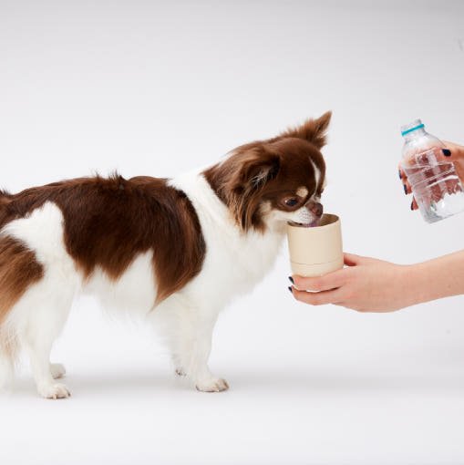 [Ahahland] COCONI Bottle – Portable Dog Water Bottle & Snack Container, All-in-One for Walks image 4