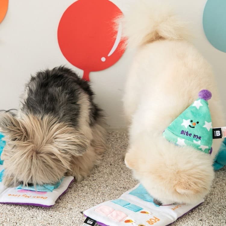 [Biteme] Party Series - Happy Bday Card Dog Toy image 2