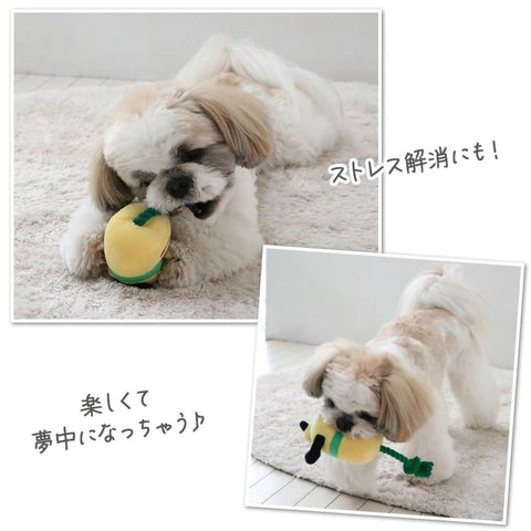 [PET PARADISE] Pluto Plush Rope Toy image 5