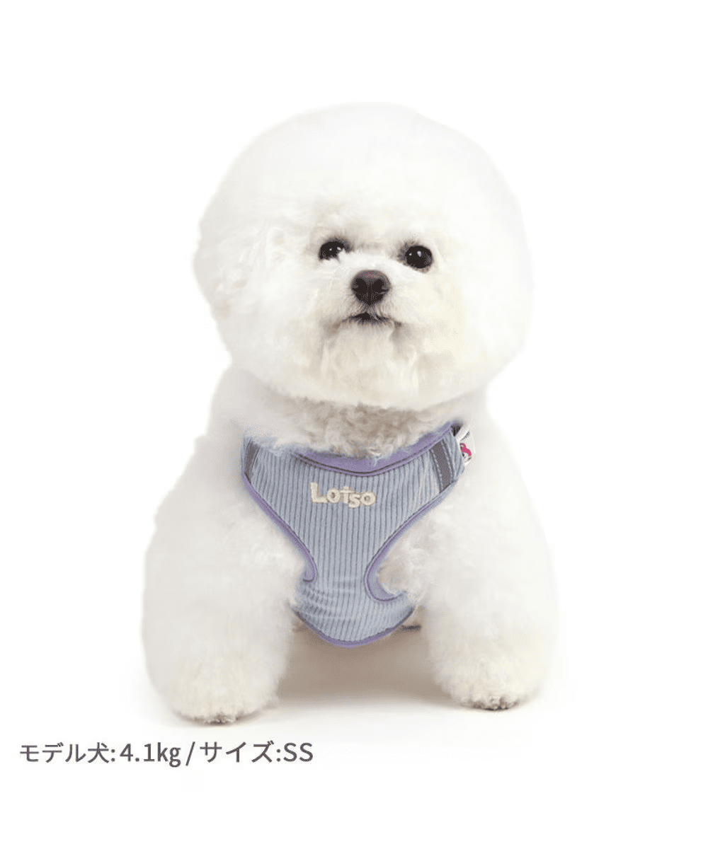 [PET PARADISE] Disney Toy Story Dog Harness with Lotso Plush Mascot image 3