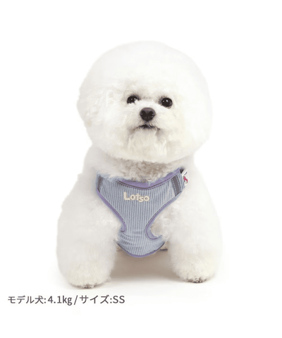 [PET PARADISE] Disney Toy Story Dog Harness with Lotso Plush Mascot image 3