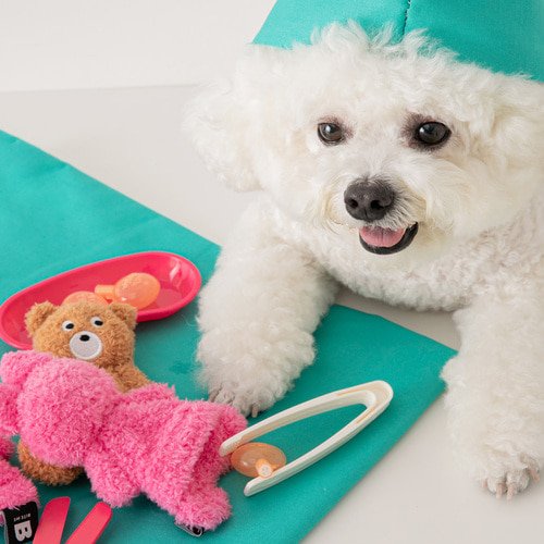 [Biteme] Buddy Bear Refill Toy image 1