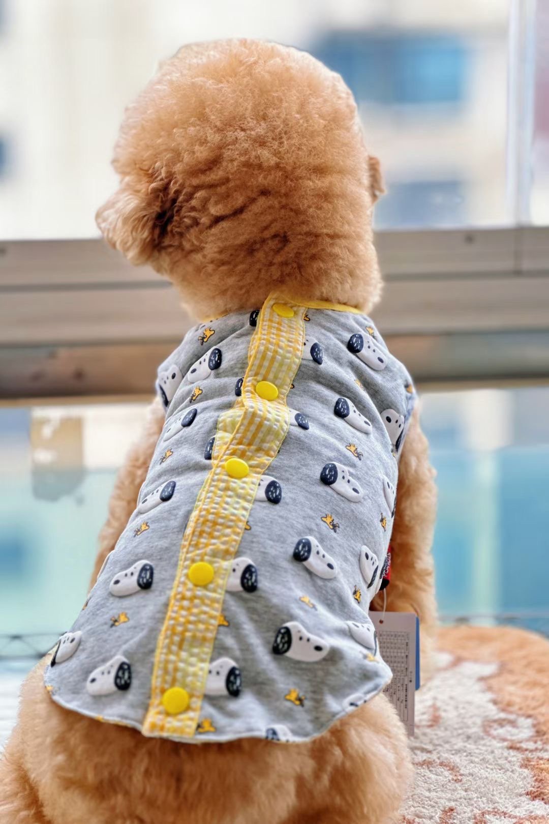 Snoopy & Woodstock Button-Up Dog Vest image 1