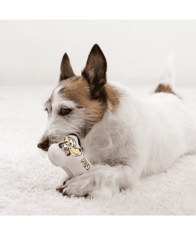 [PET PARADISE] Disney Pluto Ribbon Bone Toy – Squeaky Plush Dog Toy image 6