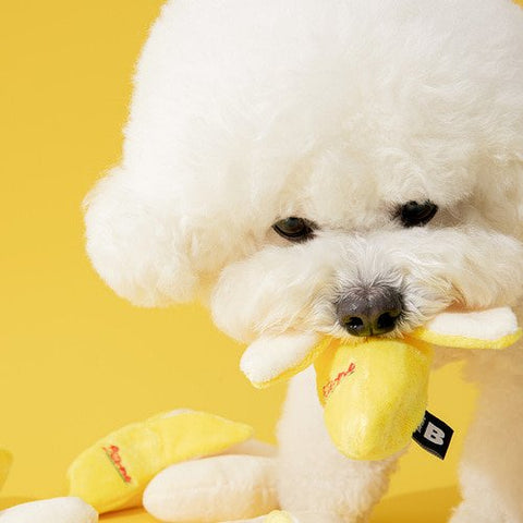 [Biteme] Banana Toy image 1
