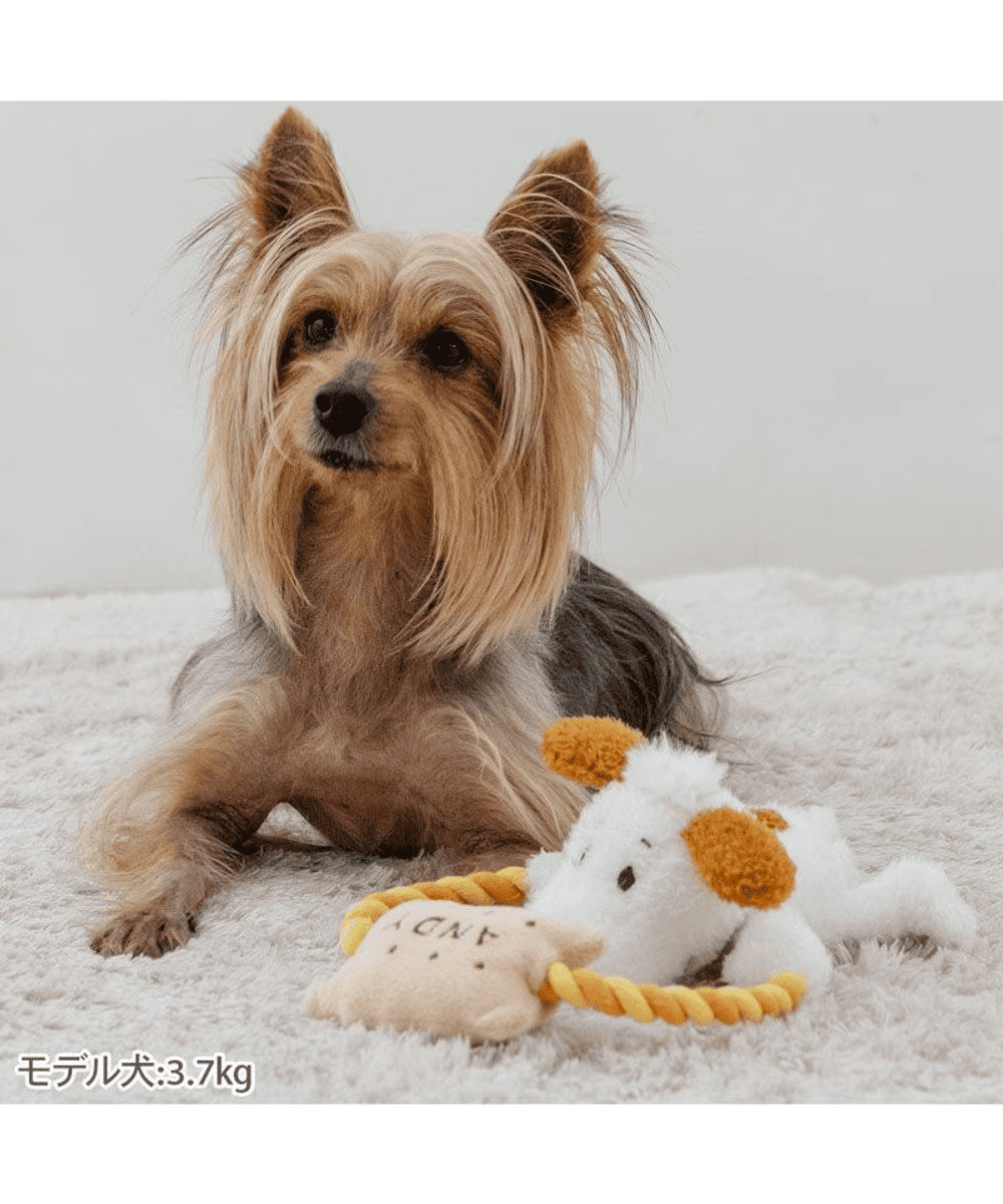 [PET PARADISE] Snoopy Andy Rope Toy– Squeaky Plush Dog Toy image 5