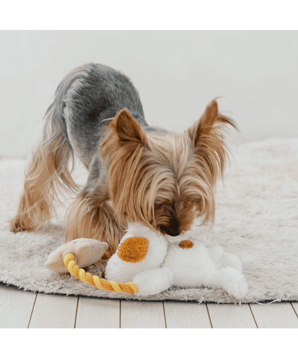 [PET PARADISE] Snoopy Andy Rope Toy– Squeaky Plush Dog Toy image 4