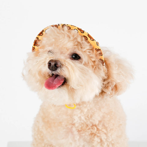 NORADOG BoBo&ChuChu Bucket Hat for Dog