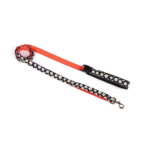 NORADOG Daisy Belt Leash (up 7kg)