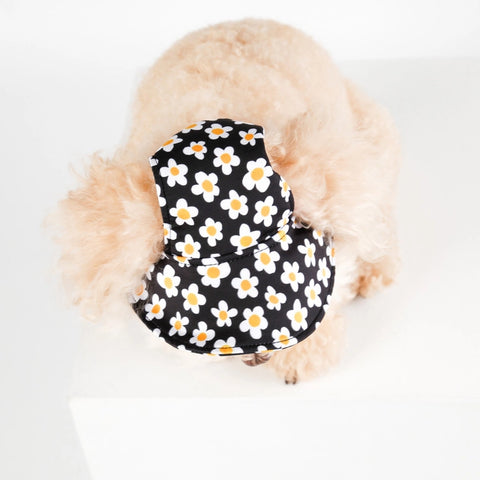 NORADOG Daisy Bucket Hat for Dog