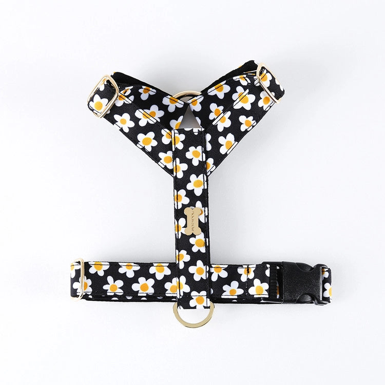 NORADOG Daisy H Harness