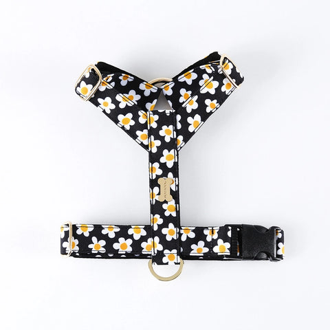 NORADOG Daisy H Harness