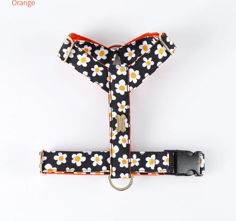 NORADOG Daisy H Harness