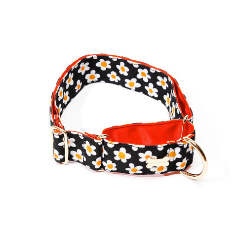 NORADOG Daisy MartinGale Collar 2Color