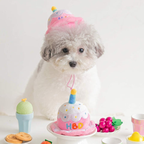 [Biteme] HBD party cake hat Toy