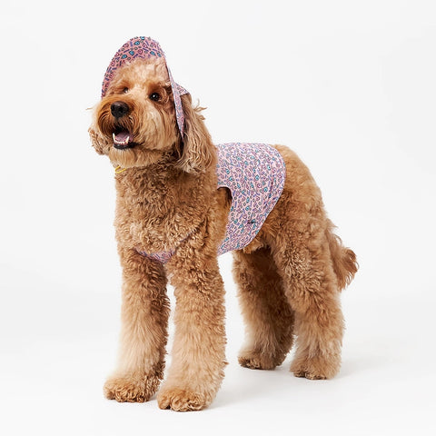NORADOG Haru Bucket Hat for Dog