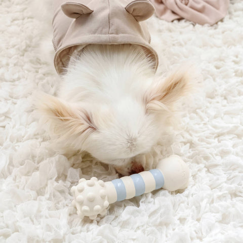 [PET PARADISE] Little Bear Striped Latex Toy