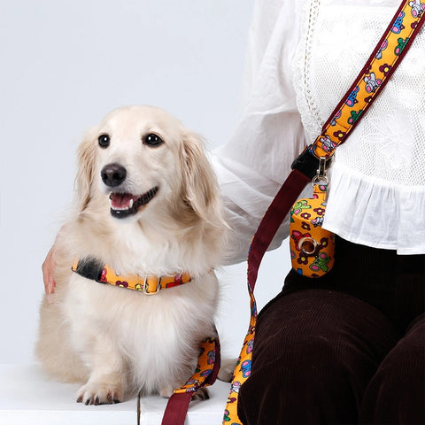 NORADOG Little PoPo Belt Leash (up 7kg)