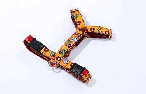 NORADOG Little PoPo H Harness