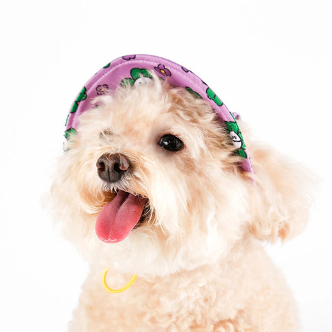 NORADOG Mr.Clover Bucket Hat for Dog