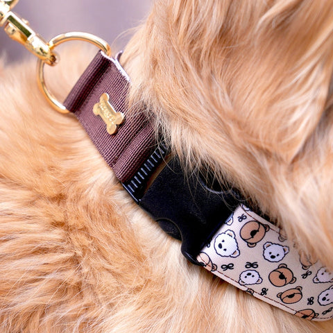 NORADOG Teddy C Collar
