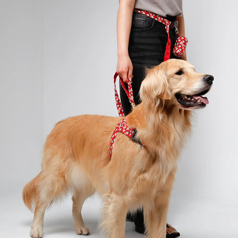 NORADOG PEKO Belt Leash (up 7kg)