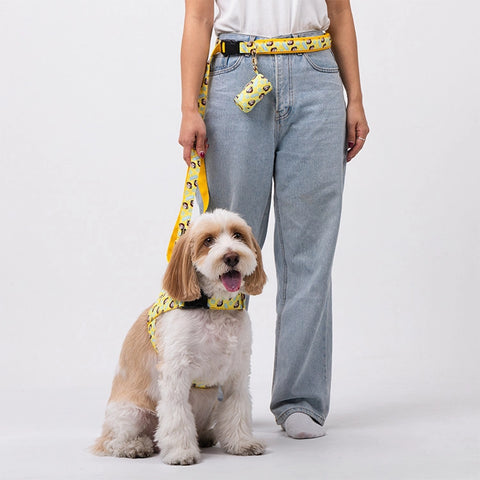 NORADOG PEKO Belt Leash (up 7kg)