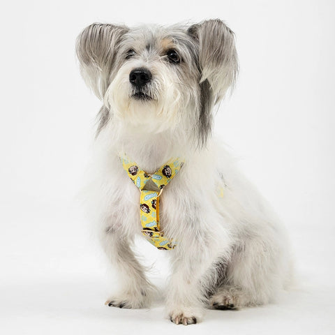 NORADOG PEKO H Harness