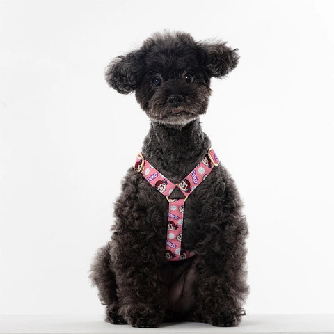 NORADOG PEKO H Harness