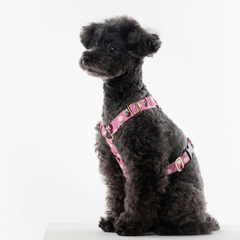 NORADOG PEKO H Harness