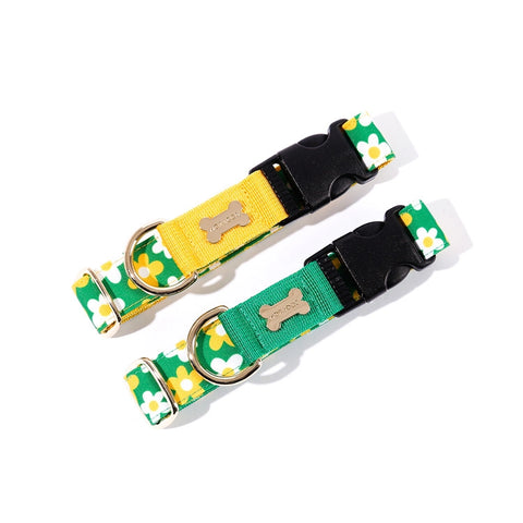 NORADOG PICNIC Collar