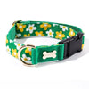 NORADOG PICNIC Collar