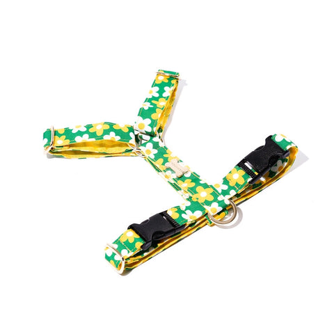 NORADOG PICNIC H Harness