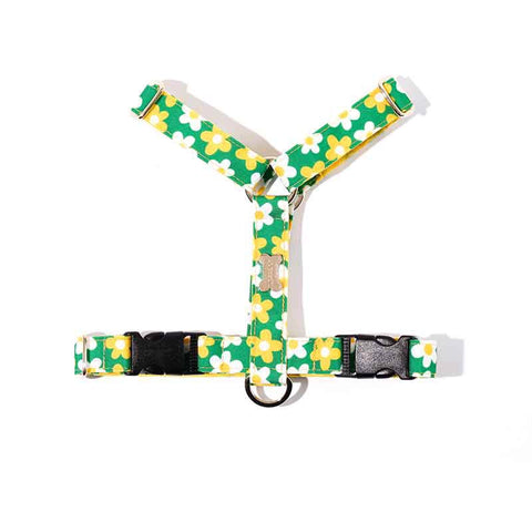 NORADOG PICNIC H Harness
