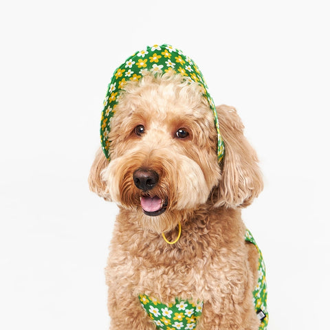 NORADOG Picnic Bucket Hat for Dog