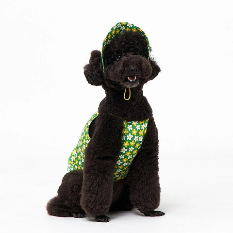 NORADOG Picnic Bucket Hat for Dog