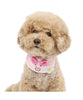 PET PARADISE Piglet Smile Dog Collar — Size S