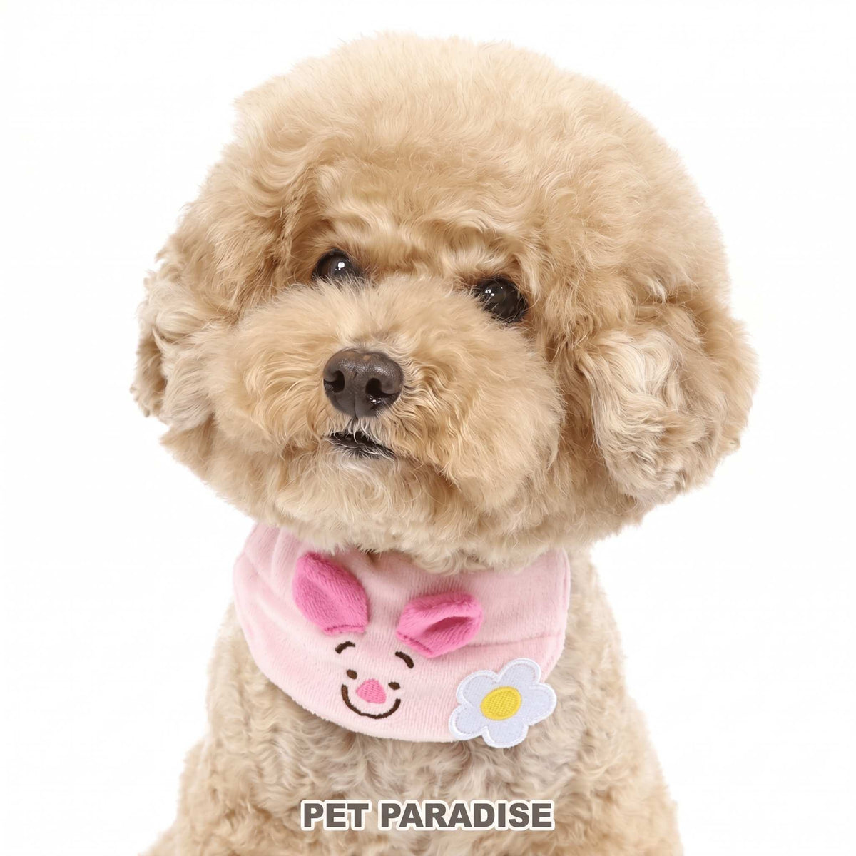 Piglet “Smile” Collar - S Size Only