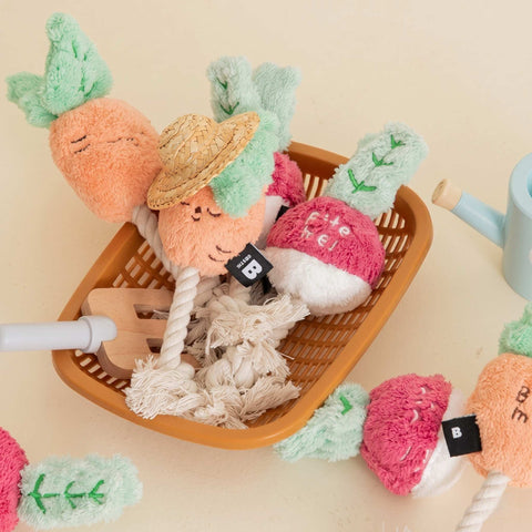 Root Vegetable Toys